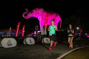 BIB: 
                            <button type="button" onclick="openModal(26534053)" class="btn btn-primary btn-sm float-right btn-popup" data-toggle="modal" data-target=".modal-high-quality">
                        <i class="fas fa-shopping-cart"></i> Add to Cart
                    </button>
                                            <button type="button" onclick="isThisMe(26534053, true)" class="btn btn-success btn-sm float-right btn-popup btn-isme hidden" data-toggle="tooltip" data-placement="bottom" title="นี่คือรูปของคุณใช่ไหม คลิกที่นี่เพื่อเอาเข้าอัลบั้ม">
                        <i class="fas fa-plus"></i> Add to album
                    </button>
                    <button type="button" onclick="isThisMe(26534053, false)" class="btn btn-warning btn-sm float-right btn-popup btn-isnotme hidden">
                        <i class="fas fa-ban"></i> Remove from album
                    </button>